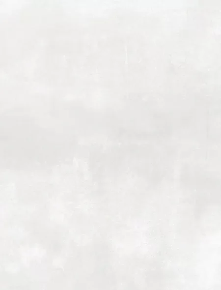 2504