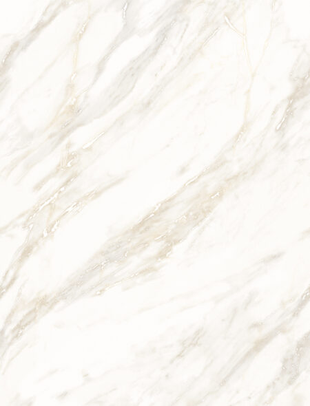 Ducal bianco