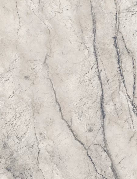 WILD FOREST GREY