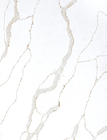 Calacatta Classic