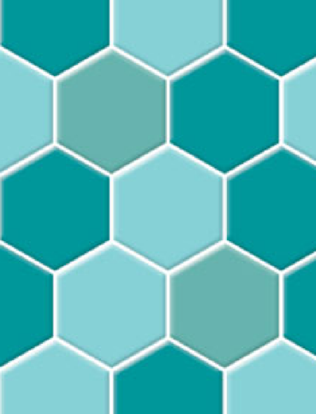 HEXAGON, 250X290